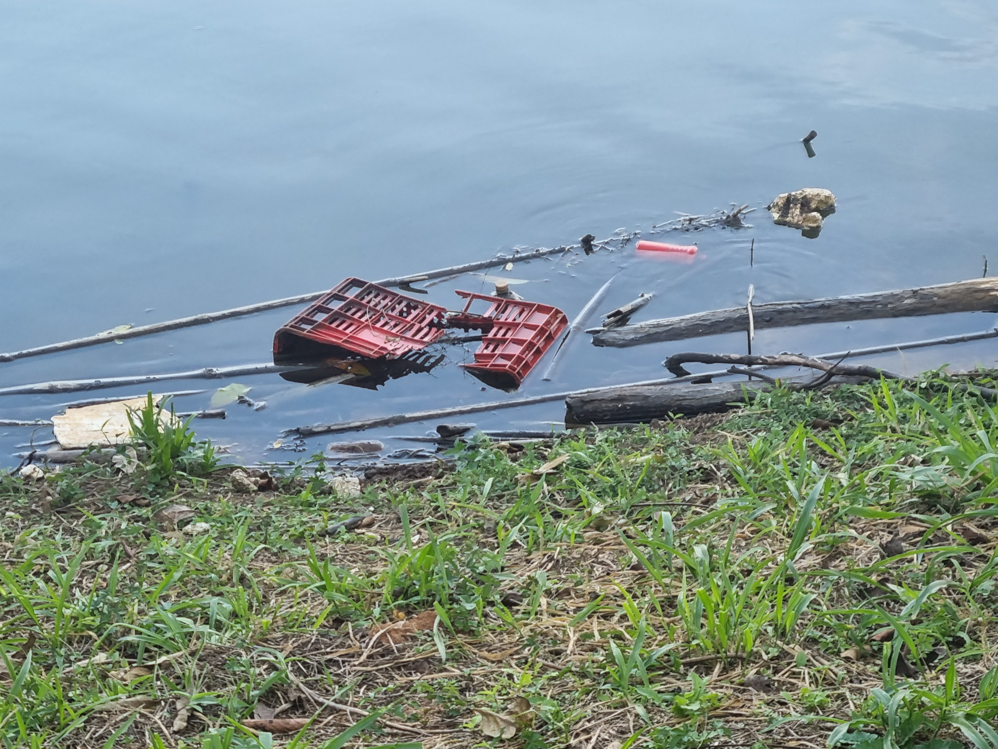 Represa do Parque Guido Martini sofre com acúmulo de resíduos plásticos